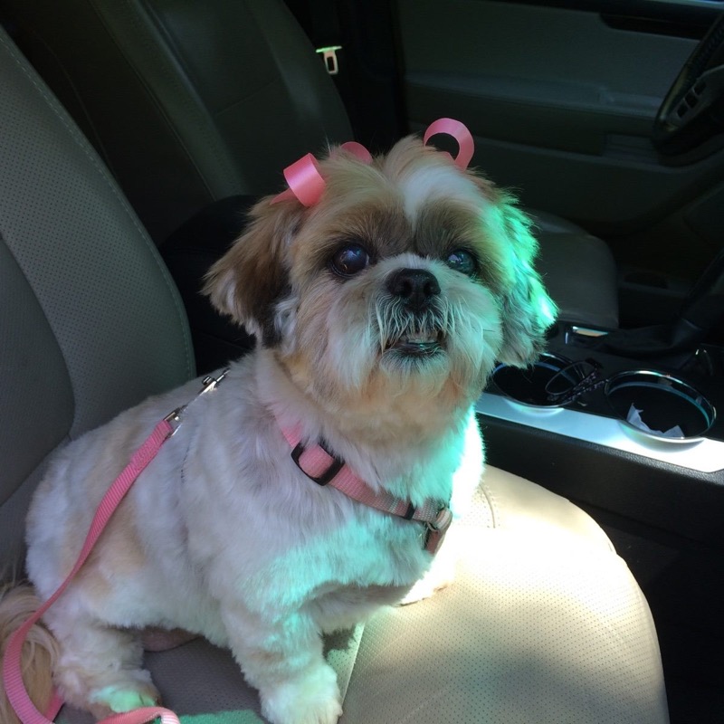 Molly